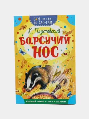 Барсучий нос. Сказки и рассказы. Паустовский К. Г. (5206965) - Купить по  цене от 183.00 руб. | Интернет магазин SIMA-LAND.RU