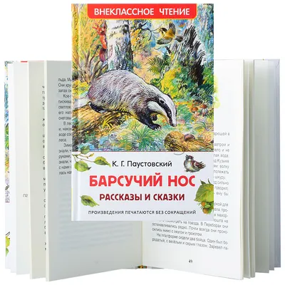 Раскраски носик животного (66 фото) » Картинки, раскраски и трафареты для  всех - Klev.CLUB