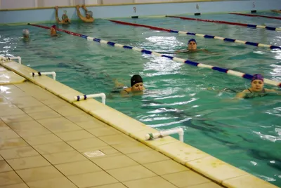Тверские пловцы-ветераны ставят рекорды и побеждают на собственном  энтузиазме | Твериград