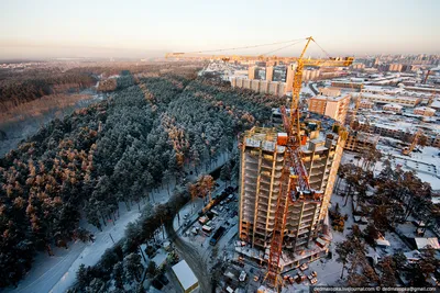 Когда в Новосибирске откроют Заельцовский парк, реконструкция Заельцовского  парка в Новосибирске - 2 сентября 2021 - НГС