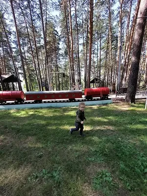 Бассейн - Гостиничный комплекс «Сосновый бор», Новосибирск - официальный  сайт