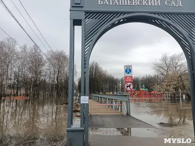 Баташевский сад в Туле затопило: фоторепортаж - Новости Тулы и области -  1tulatv