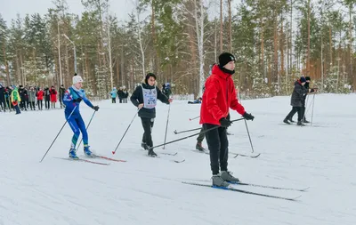 Баня Снегиревские бани - отзывы о сауне, фото, цены, телефон и адрес -  Сауны и бани - Набережные Челны - Zoon.ru