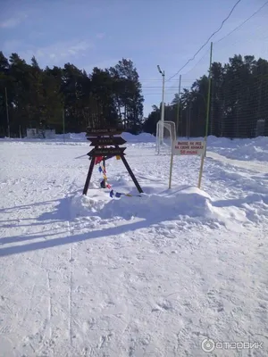 База отдыха «Белочка»/Беловское водохранилище (@turbaza_belochka) •  Instagram photos and videos