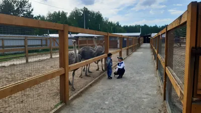 Правительственную базу отдыха огородят за два миллиона рублей. Болдинцево  станет неприступным