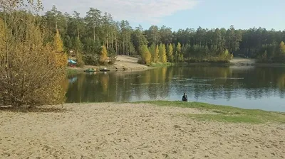 Беседки и мангальные зоны на базе отдыха “Боровое”