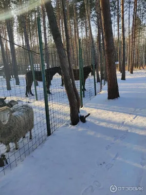 Банный комплекс Бригантина на берегу Матырского водохранилища (сады  металлург 3) 🚩 цена от 1700 руб., вместимость до 20 чел., Адреса и  телефоны 💦 саун и бань ♨️ рядом с Вами на сайте ДАЙ ЖАРУ в Липецке