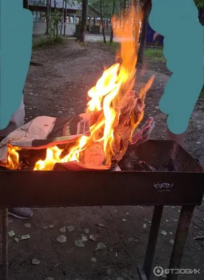 Отдыхаем на лоне природы не покидая Хабаровска, или Мужик в городе уехал на  \"Дельфин\" - PrimaMedia.ru