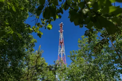 Дельфин, база отдыха: отзывы, адреса, телефоны, цены, фото, карта. Хабаровск,  Хабаровский край