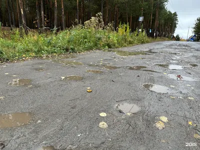 База отдыха Глухомань в Сургуте на Центральной улице - отзывы, фото, цены,  телефон и адрес - Zoon.ru