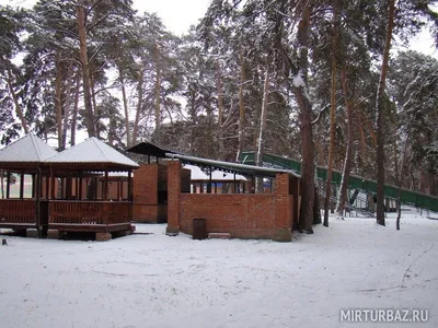 Международный аэропорт Омск Центральный имени Д.М. Карбышева, аэропорт,  Транссибирская ул., 28, Омск — Яндекс Карты