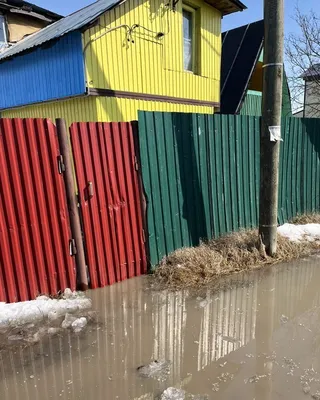 Отель КЕДР, отель -*, Пицунда / Picunda Абхазия: цены на отдых, фото,  отзывы, бронирование онлайн. Лучшие предложения от Библио-Глобус