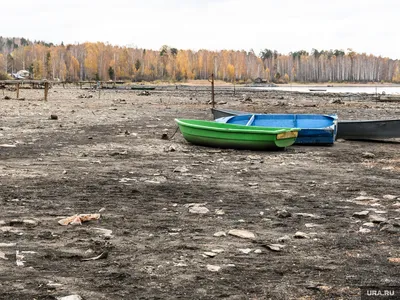 Базы отдыха в Еткуле, Челябинская область — цены 2024, турбазы, отзывы