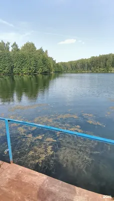 База отдыха Водолей - Набережные Челны, Республика Татарстан, фото базы  отдыха, цены, отзывы