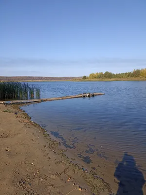 База отдыха Радуга в Омске: фотографии, цены и отзывы - 101номер.ру