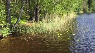 Релакс-феномен Челнов: райское наследие КАМАЗа, курорт Барышева и  «кататония» Пугачевой