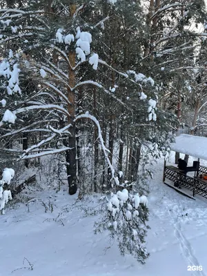 Тюльпан, банный комплекс в Набережных Челнах: фотографии, цены и отзывы -  101sauna.ru