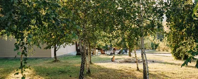 База отдыха Зеленая поляна, Белгород, Белгородская область - цены 2024, фото