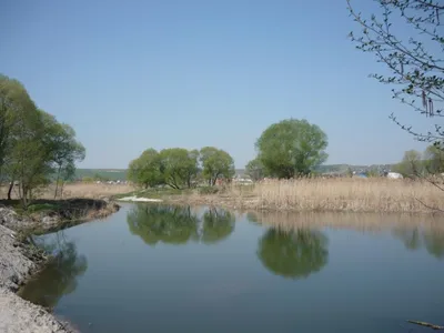 Лесопарковая зона ЖБК-1 в Белгороде, Зеленая Поляна ул., 2 - фото, отзывы  2024, рейтинг, телефон и адрес