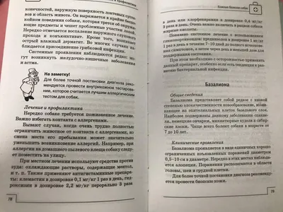 Потрясающая способность: какие опасные болезни могут учуять собаки ещё до  появления симптомов | Научпоп. Наука для всех | Дзен