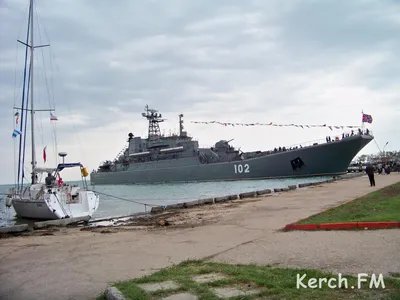 Источник: в Черном море впервые действует крупнейшая группировка ВМФ РФ в  составе 12 БДК - ТАСС