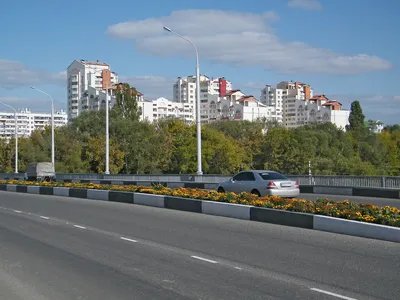 В белгородских учреждениях культуры ищут добровольцев в народное ополчение  - Газета.Ru | Новости