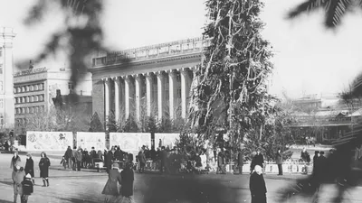 Белгород в фотографиях. Советские годы | Пушкинский клуб Белгород | Дзен