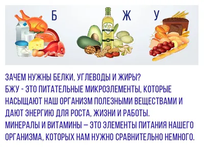 Картинки Состав продуктов: белки, жиры, углеводы (53 фото)