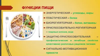 Белки, жиры, углеводы: понятно о сложном | Kochfit | Онлайн фитнес с  заботой о здоровье | Дзен