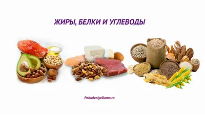 Углеводы, белки и жиры. Едим вкусно, вовремя и с пользой для тренировок —  Блог «Спорт-Марафон»