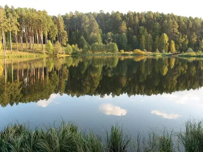 Белое озеро Пензенская область (Много фото!) - treepics.ru