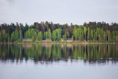 Белое озеро Николаевский район (78 фото) - 78 фото