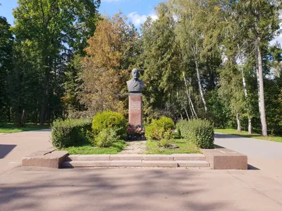 В Центральном парке Тулы установили арт-объект «Зелёная планета» - Новости  Тулы и области - MySlo.ru