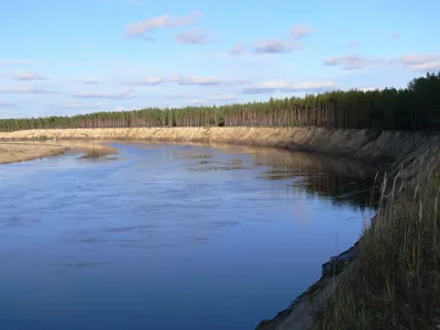 Белый Яр « Особо охраняемые природные территории Томской области | ОГБУ  \"Облкомприрода\"