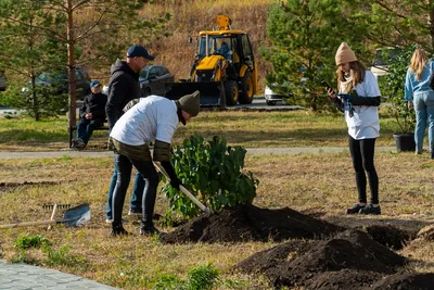 Студия+спальня в микрорайоне \"Белый хутор\", Купить квартиру в Челябинске,  ID объекта - 319433070