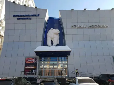 Белый медведь Саранск фото фото