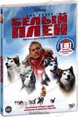 Скачать обои Пол Уокер, Paul Walker, Eight Below, Белый плен, Jerry  Shepard, раздел фильмы в разрешении 640x960