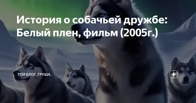 Белый плен (2006, фильм) - «Если уж и давить на жалость, то до конца. Зачем  из трагедии сделали фарс?» | отзывы