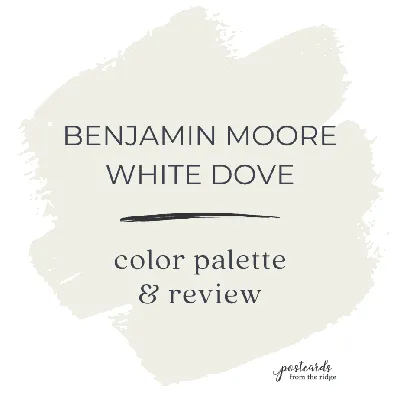 Benjamin Moore White Dove | Amelia Lawrence Style