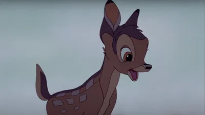 Bambi II | Rotten Tomatoes