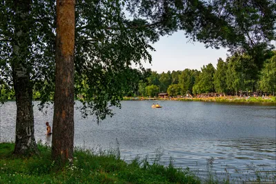 Парк отель Берендеевка в Костроме - Парки и рекреационные зоны для отдыха