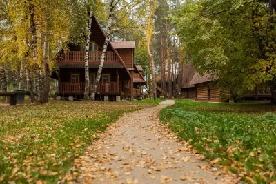 Парк-отель Берендеевка - Кострома, Костромская область, фото парк-отеля,  цены, отзывы