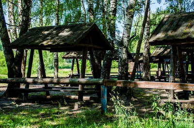 Костромской парк «Берендеевка» вновь обзаведется каруселями - МК Кострома
