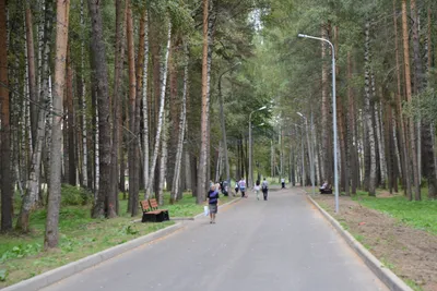Парк «Берендеевка», Кострома. Отели рядом, фото, видео, как добраться —  Туристер.Ру