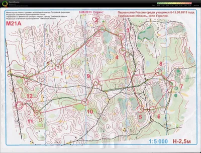 Карта Тамбовский Волк 2013 1й день, район - Берендей, из архива карт  спортивного ориентирования Алексей Гусев