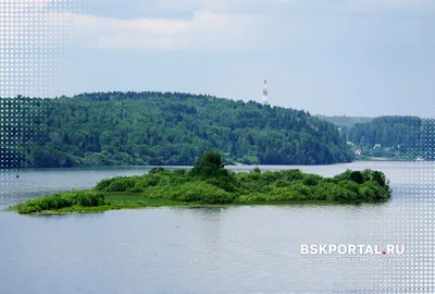 В Березниках избран новый глава города — РБК