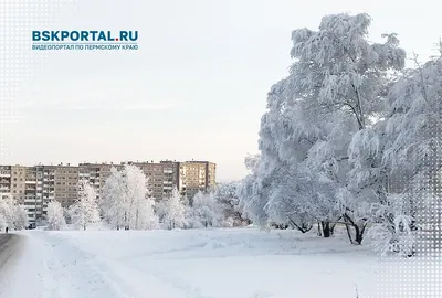 Березники-Пермь-Новосибирск-Чок-Партас и многое другое ч.1 — DRIVE2