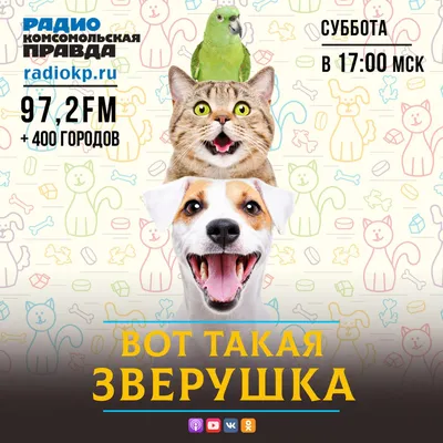 Картинки на тему #Дворняга - в Шедевруме