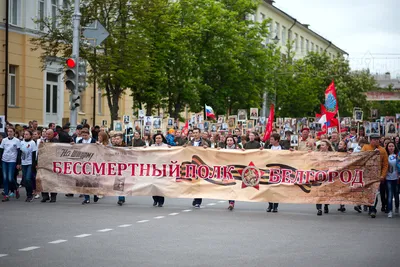 Бессмертный полк» в Белгороде 9 мая 2022: программа акции - KP.RU