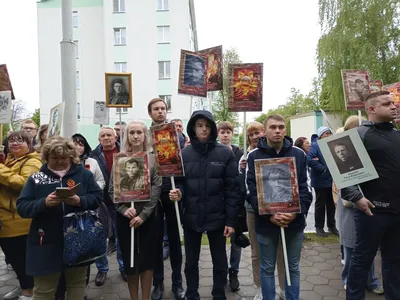 Бессмертный полк» идёт сквозь годы. Белгородские новости